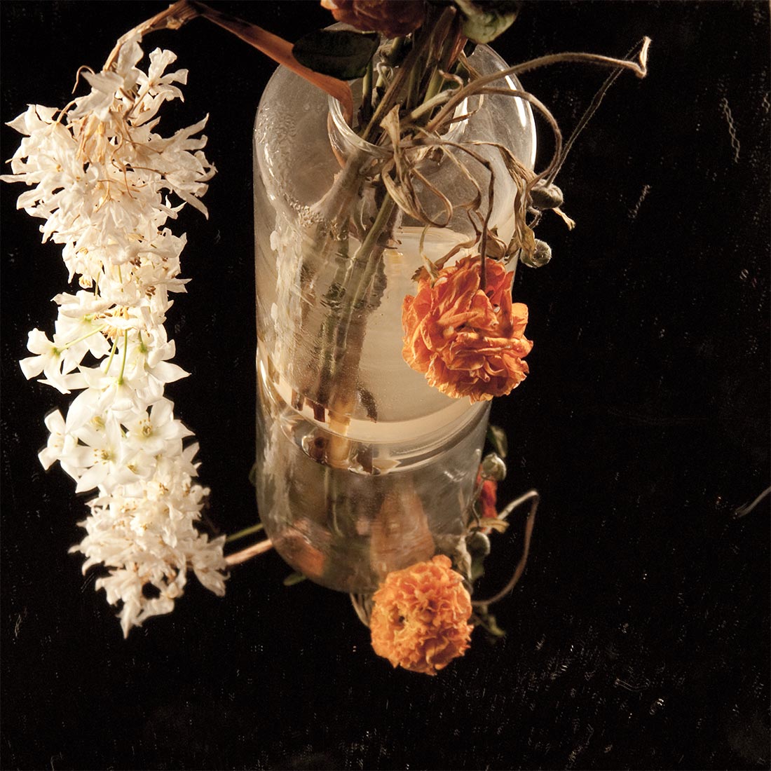 Floral Study No.1 ©2011