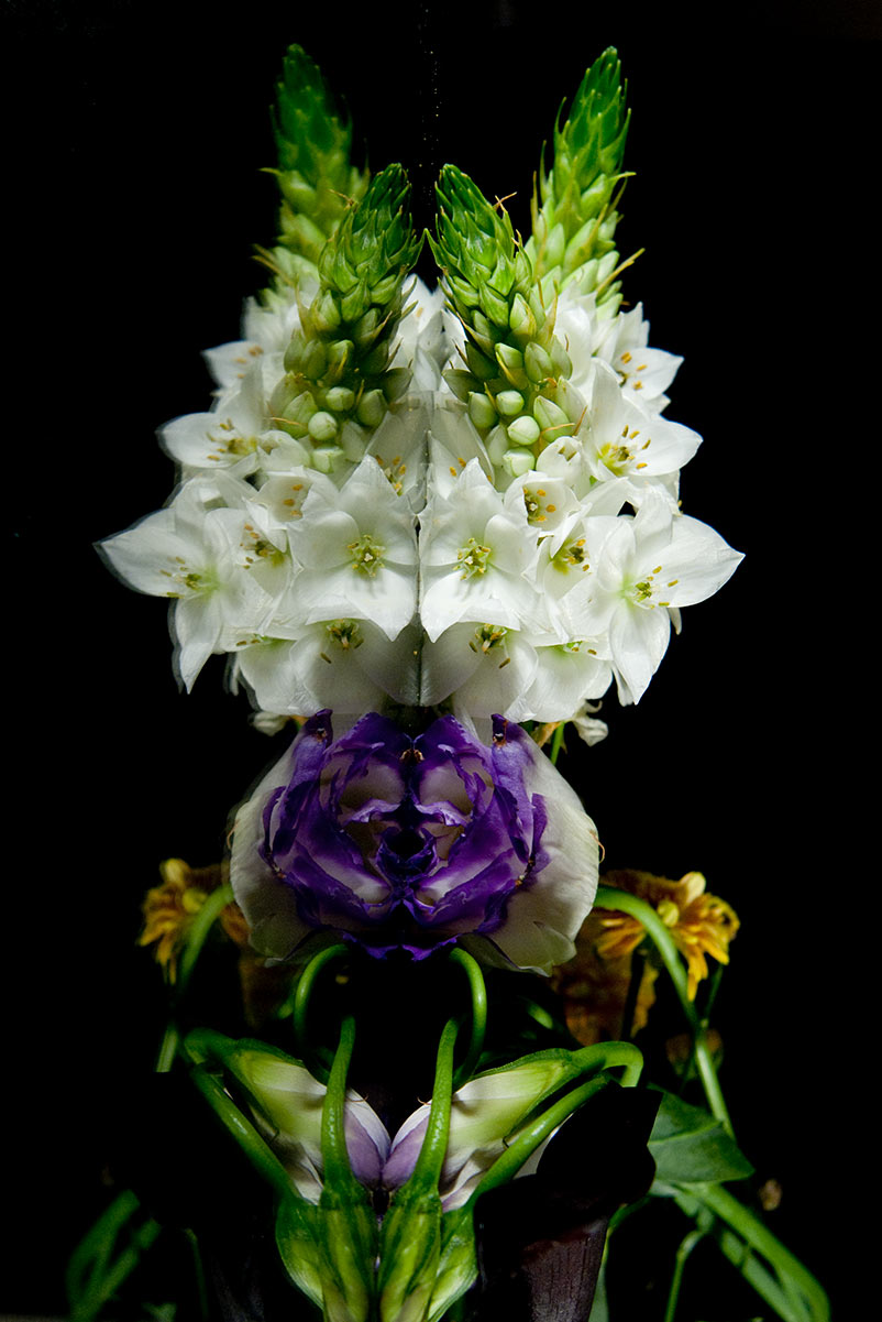 Floral Study No.2 ©2011