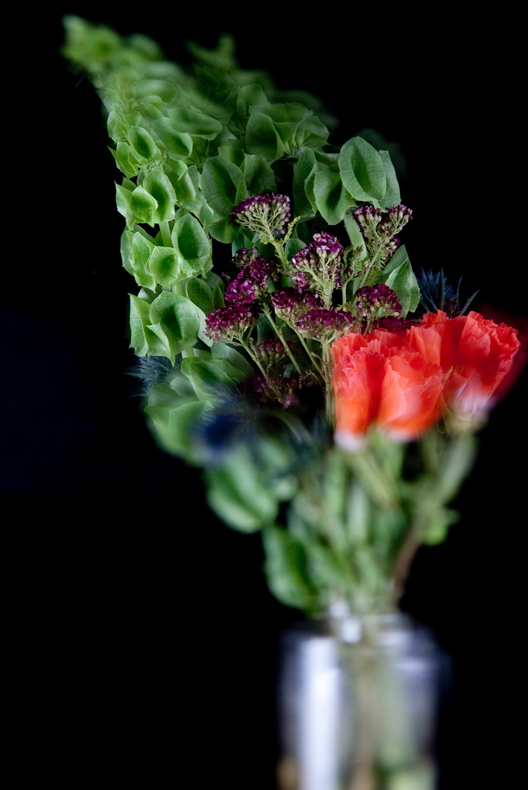 Floral Study No.3 ©2011