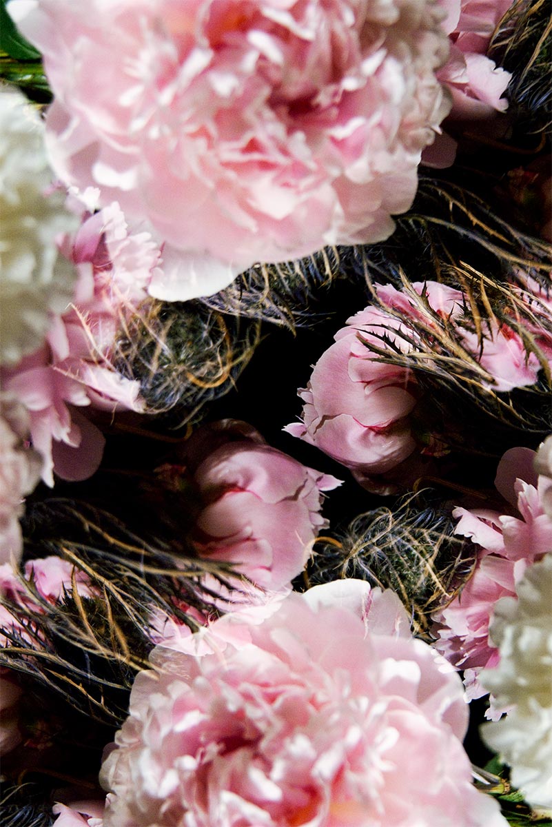 Floral Study No.4 ©2011