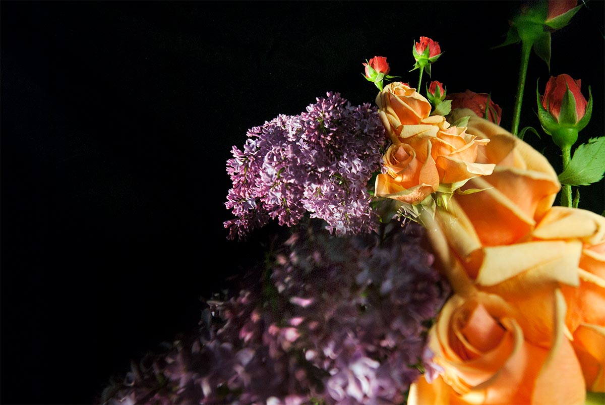 Floral Study No.6 ©2011