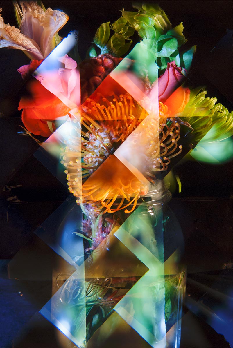 Floral Study No.8 ©2011