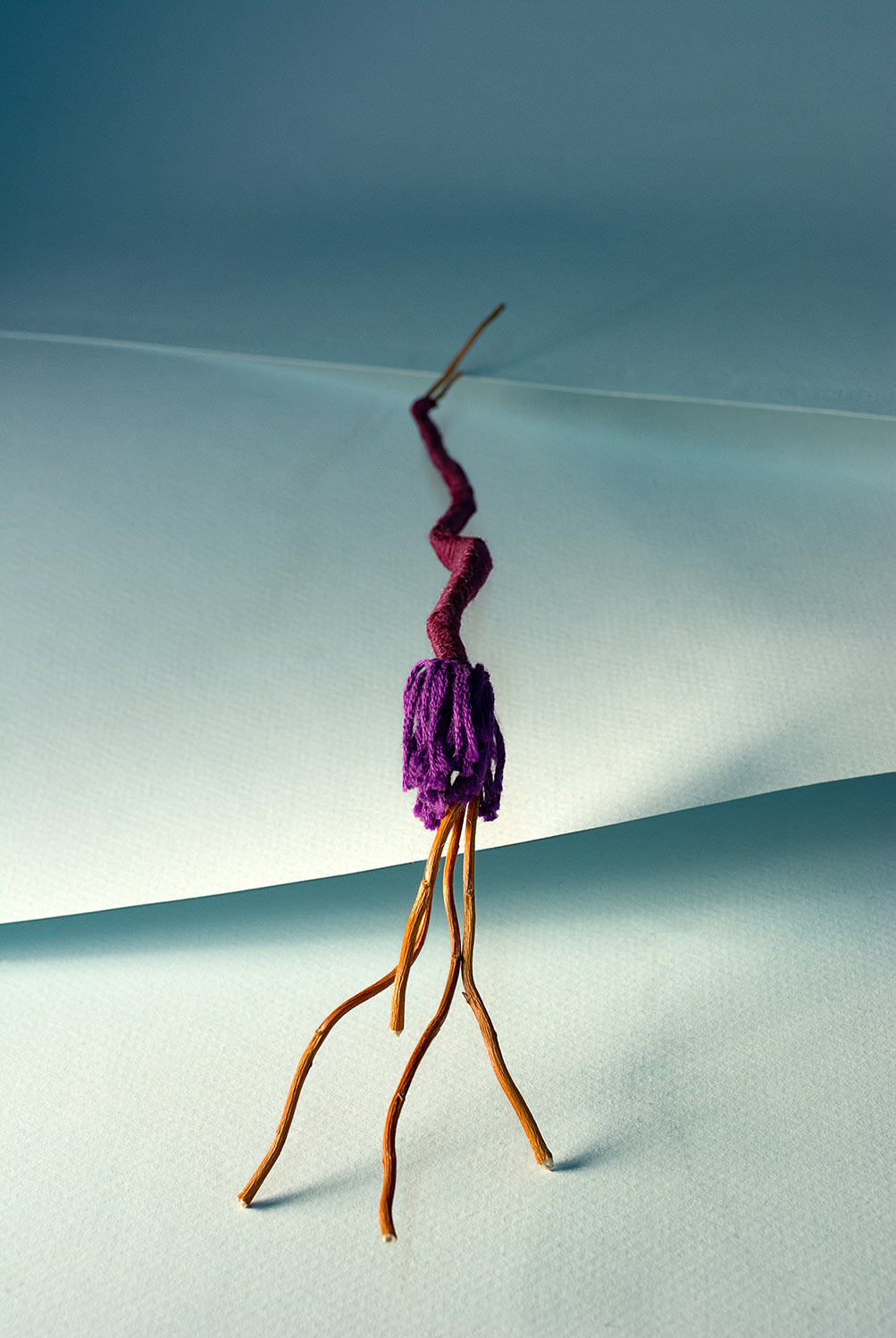 Blue Paper, Four Appendage Twigs Organism With Purple Thread. ©2019