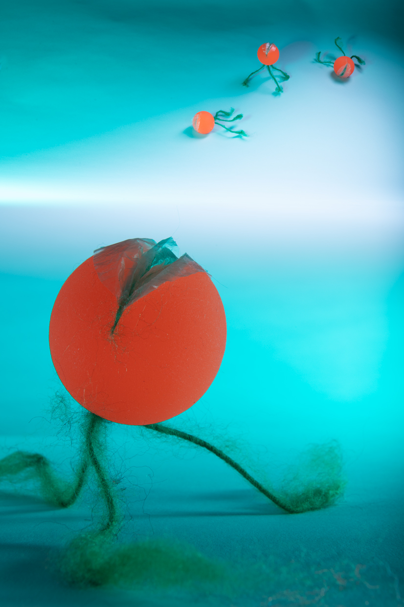 Blue Paper, Green Fibrous Tri-pedal Organisms with Feeding Grooves © 2022