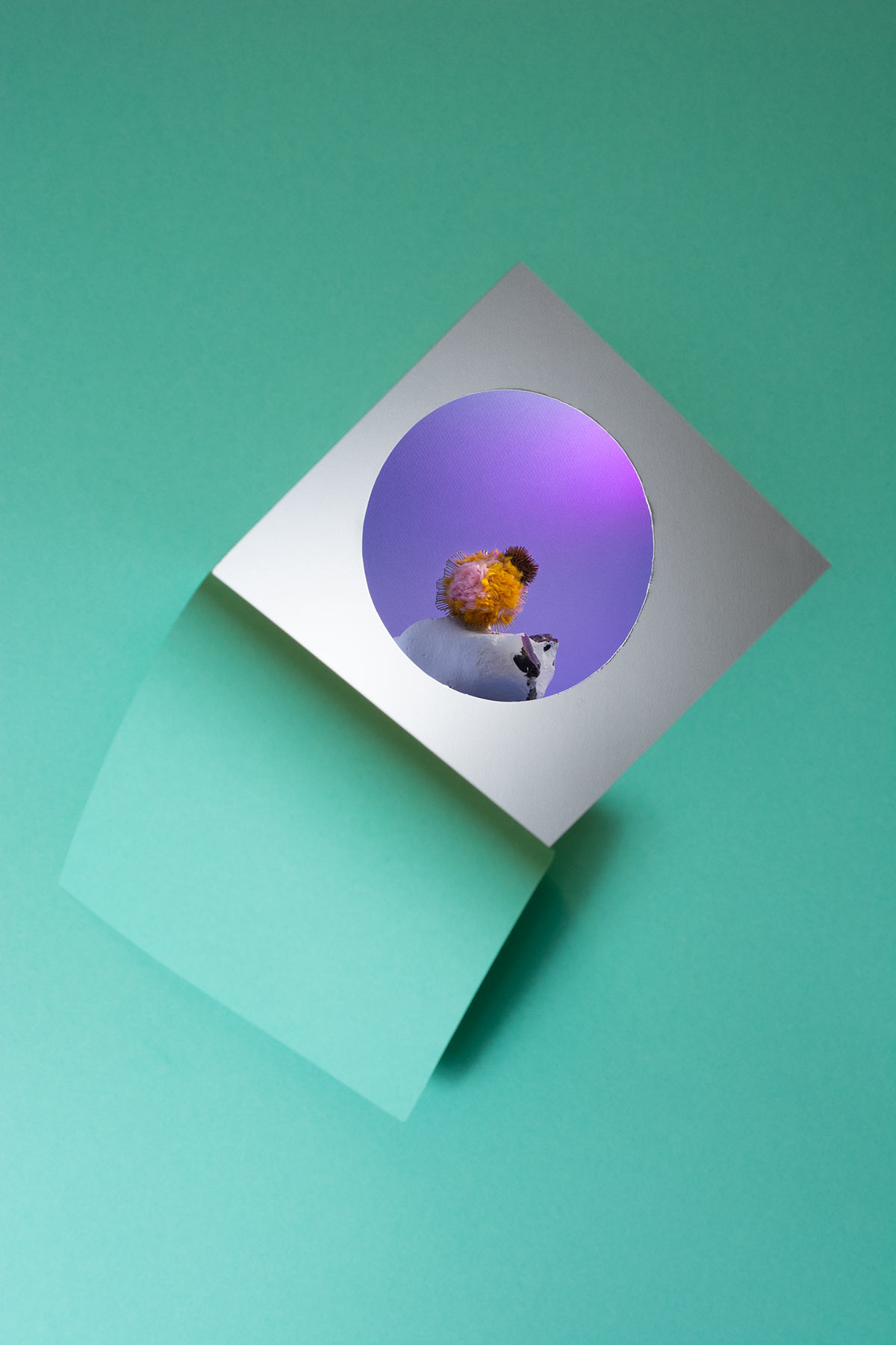 Green Paper, Yarn and Seed Organism on Rock. ©2020